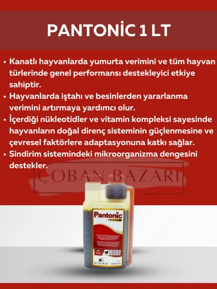 Royal İlaç Royal İlaç Pantonic 1 Lt. Vitamin ve Mineral Desteği ürün görseli 1