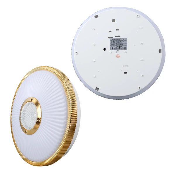 Powermaster PM-27332 Bluetooth Hoparlörlü Tavan Aydınlatma - Resim 2