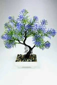Kasımpatı Bonsai Yapay Ağaç 25x20 cm - Resim 2