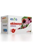 Ekinezya Çayı 20 Li. - Resim 2