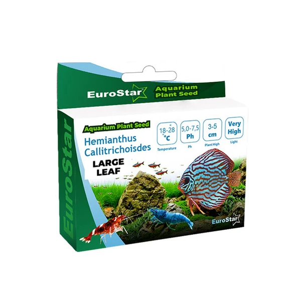 EuroStar Bitki Tohum Large Leaf Base Plant ürün görseli 1