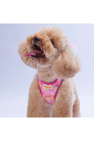 Pawstar Daisy Air-mesh Göğüs Tasması Kedi Köpek Göğüs Tasması Papatya Desenli Köpek Tasması ürün görseli 1