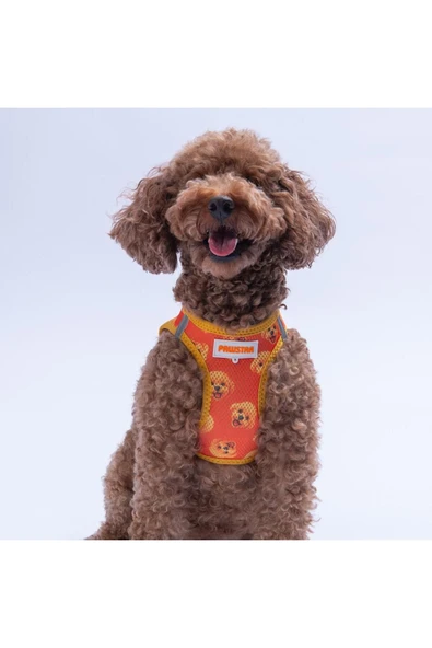 Pawstar Poodle Air-mesh Göğüs Tasması Kedi Köpek Göğüs Tasması ürün görseli 1