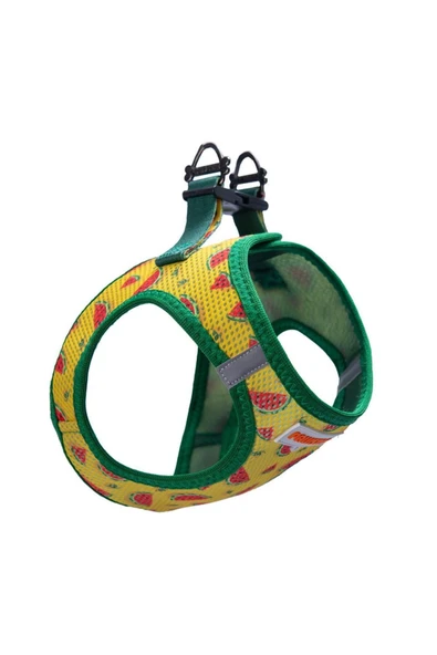 Pawstar Watermelon Air-mesh Göğüs Tasması Kedi Köpek Göğüs Tasması Karpuz Desenli Köpek Tasması ürün görseli 1