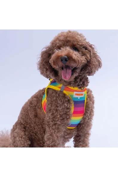 Pawstar Rainbow Air-mesh Göğüs Tasması Kedi Köpek Göğüs Tasması Gökkuşağı Desenli Köpek Tasması ürün görseli 1