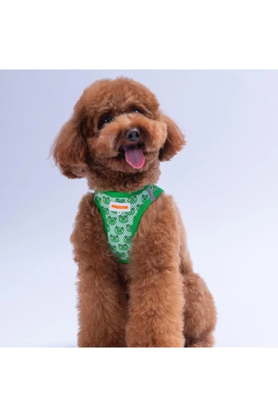 Pawstar Frog Air-mesh Göğüs Tasması Kedi Köpek Göğüs Tasması Kurbağa Desenli Köpek Tasması ürün görseli 1