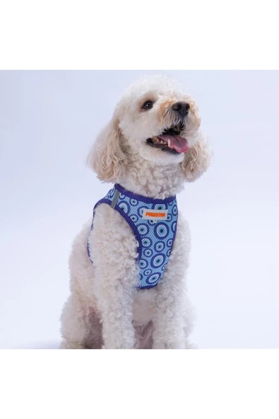 Pawstar Charm Air-mesh Göğüs Tasması Kedi Köpek Göğüs Tasması Nazar Boncuğu Desenli Köpek Tasması ürün görseli 1