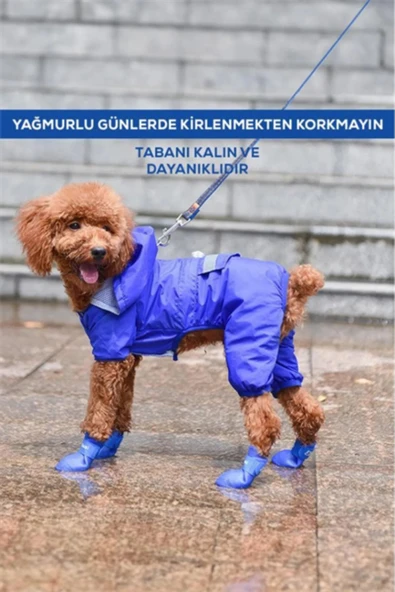 Kedi ve Köpek Pati Ayakkabısı Rastgele Renk Silikon Kaymaz Tabanlı, Cırt Cırtlı, Çok Renkli & Farklı Beden Seçenekleri (Stoktan Gönderim) ürün görseli 1