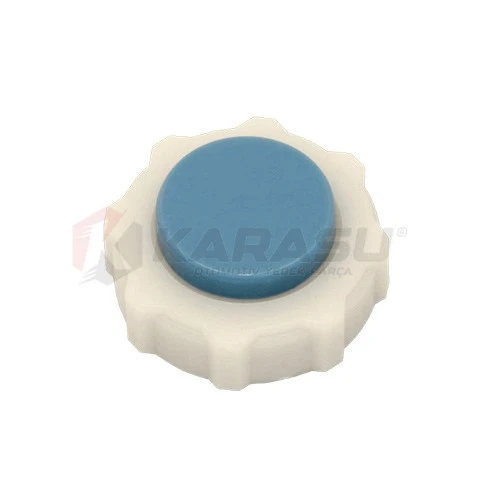 R11 R19 R21 FLASH MEGANE RADYATÖR KAPAK MAVİ ürün görseli 1