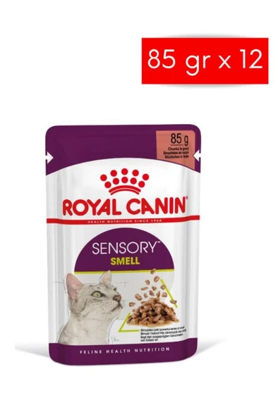 Royal Canin Sensory Smell Gravy 85 Grx12 Adet Kedi Konservesi ürün görseli 1