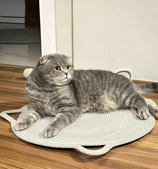 Organik İpli Kedi Tırmalama ve Beslenme Paspası 45x45 cm ürün görseli 1