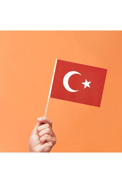Çıtalı Bayrak 80li Ay Yıldız ürün görseli 1