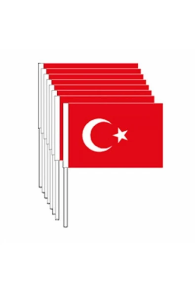 Party Country KÜÇÜK ÇITALI KAĞIT TÜRK BAYRAK 80 Lİ VT801 ürün görseli 1