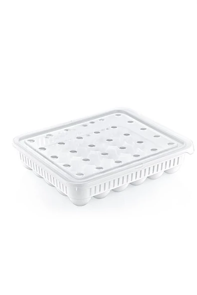 BUFFER® 30lu Yumurta Saklama Kabı - Resim 6
