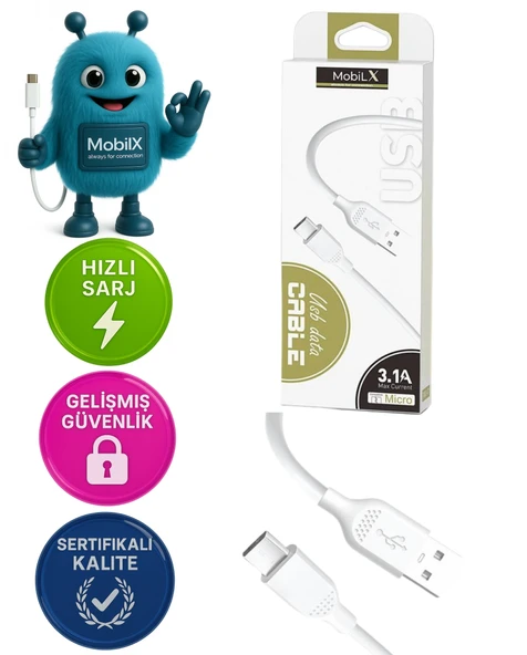 USB to Type-C Şarj ve Data Kablosu – 3.1A, Hızlı Şarj, Siyah ürün görseli 1