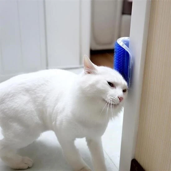 BUFFER®  Pratik Kedi Tüyü Kaşıma Ve Tarama Aparatı Duvara Monte Kaşıma Aleti ürün görseli 1