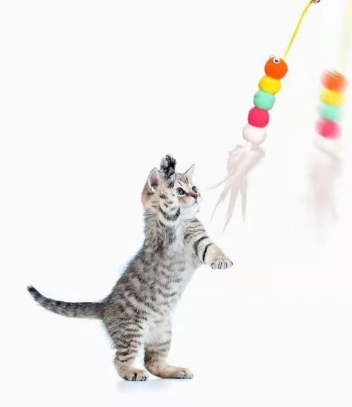 Elastik Yapışkanlı Kedi Oyun Oltası - Resim 4