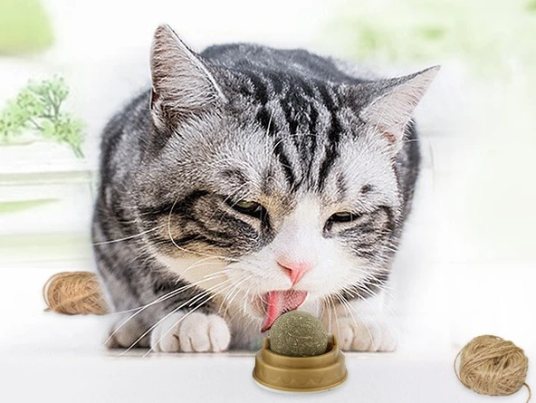 Kedi Otu Oyun Topu ürün görseli 1