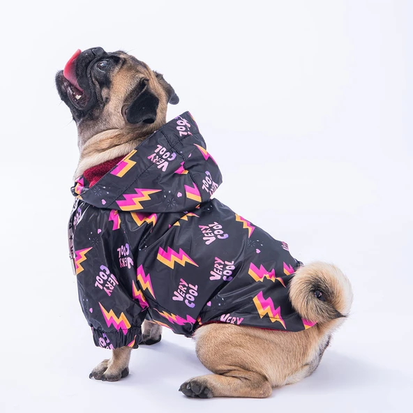 Pawstar Cool Polarlı Su Geçirmez Küçük Irk Köpek Yağmurluğu ürün görseli 1