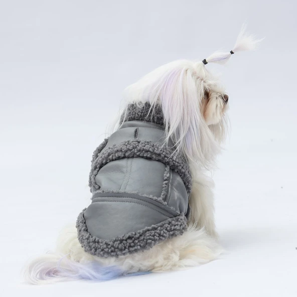 Pawstar Gri Churchill Su Geçirmez Küçük Irk Köpek Yeleği ürün görseli 1