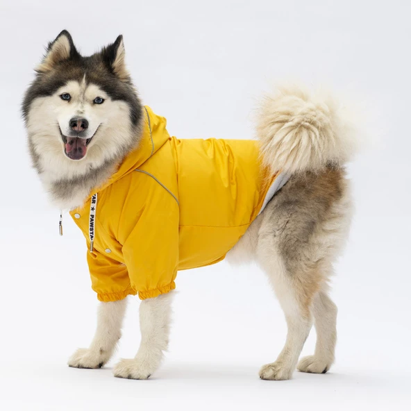 Pawstar Pluvia İçi Polar Orta-Büyük Irk Köpek Yağmurluğu Sarı ürün görseli 1