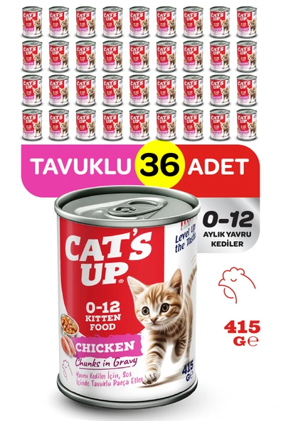Cats Up Yaş Yavru Kedi Maması Tavuklu 415gr 36Lı ürün görseli 1