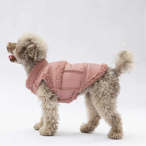 Pawstar Rose Churchill Su Geçirmez Küçük Irk Köpek Yeleği ürün görseli 1