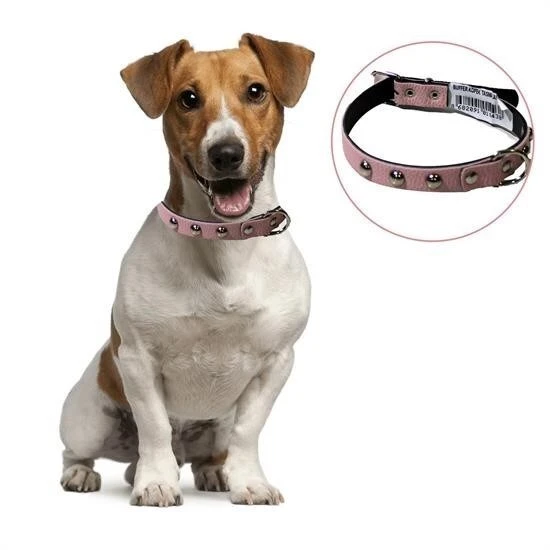 BUFFER® Yumuşak Dokulu Deri Köpek Gezdirme Boyun Tasması Medium ürün görseli 1