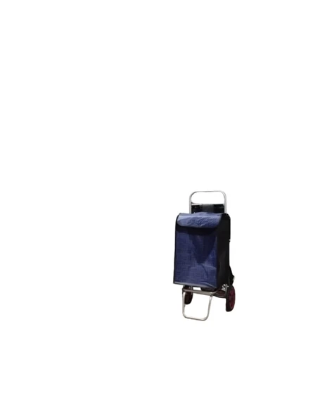 Asvera Büyük Boy Katlanabilir Pazar Arabası - Sağlam Tekerlekli Market Alışveriş Arabası ürün görseli 1
