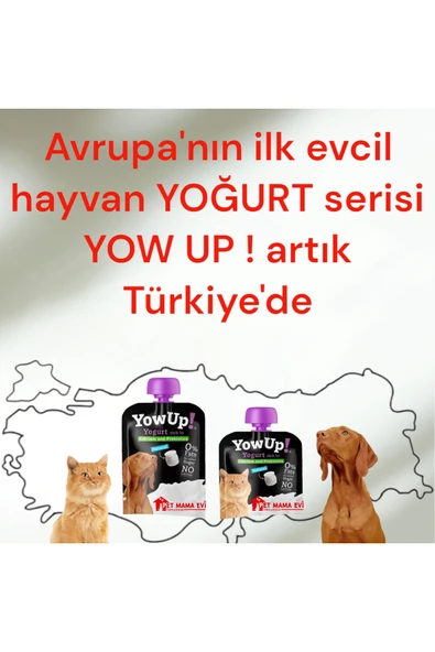 Yow Up! Prebiyotik Köpek Yoğurt - Resim 3