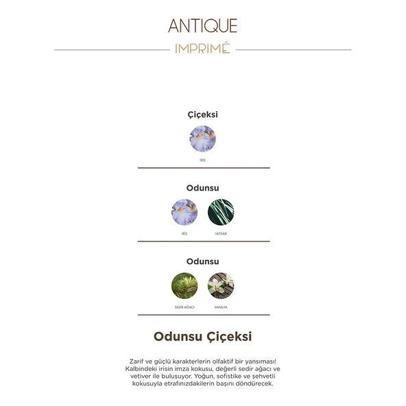 Imprime Antique EDP Erkek Parfüm 15 ml - Resim 4