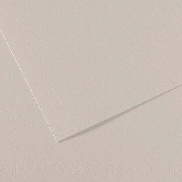 Canson Fon Kartonu (Dokulu) Mı-Teıntes Sh Canmt 50x65 160 Gr Grey 120-10-LI-PKT ürün görseli 1