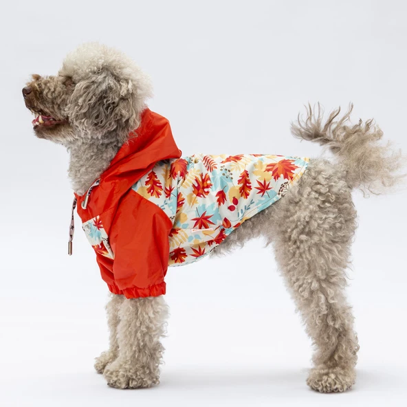 Pawstar Ottawa Polarlı Su Geçirmez Küçük Irk Köpek Yağmurluğu ürün görseli 1