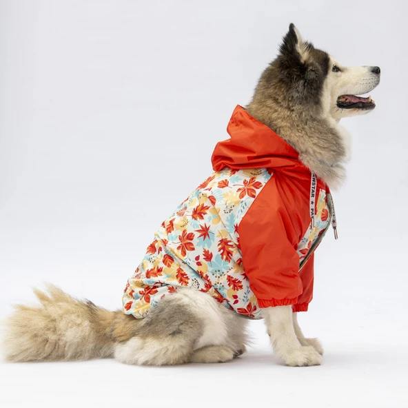 Pawstar Ottawa Polarlı Su Geçirmez Orta-Büyük Irk Köpek Yağmurluğu ürün görseli 1