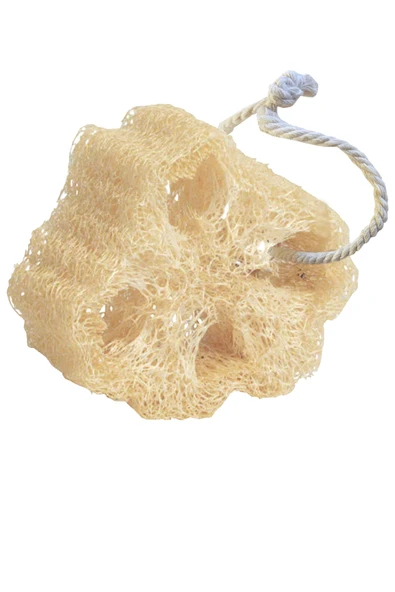 Kabak Lifi Bulaşık Süngeri Banyo Kesesi Kalın Büyük Parça Loofah Sponge İpli Doğal Kabak Kesesi ürün görseli 1