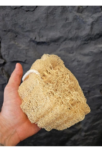 Doğal Kabak Lifi Bulaşık Süngeri Banyo Kesesi Loofah Sponge İpli Kabak Kesesi Kalın Büyük Parça ürün görseli 1