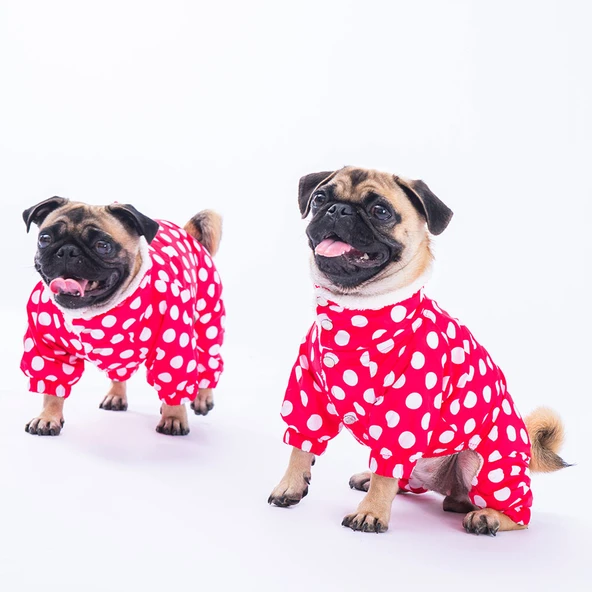 Pawstar Dots Fuşya Peluşlu Su Geçirmez Küçük Irk Köpek Yağmurluk Tulum ürün görseli 1