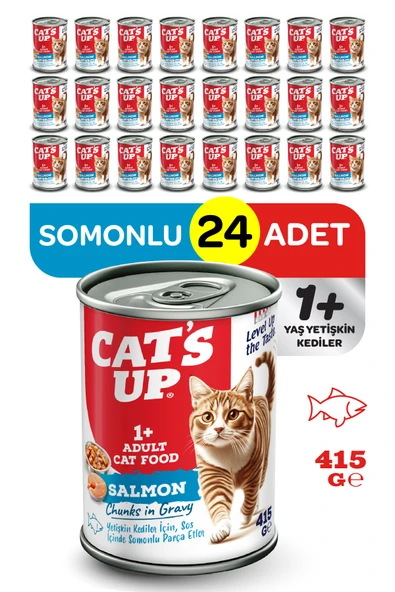 Cats Up Yaş Yetişkin Kedi Maması Somonlu 415gr 24Lü ürün görseli 1