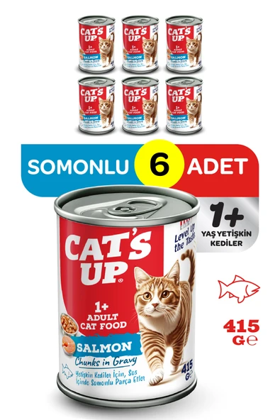 Cats Up Yaş Yetişkin Kedi Maması Somonlu 415gr 6Lı ürün görseli 1