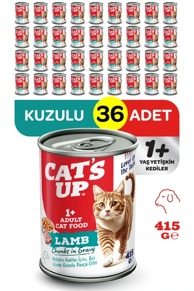 Cats Up Yaş Yetişkin Kedi Maması Kuzu Etli 415gr 36Lı ürün görseli 1