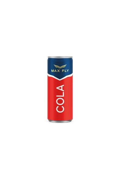 Max Fly Gazlı İçecek Karma Paket 250 ml 24 Adet - Resim 2
