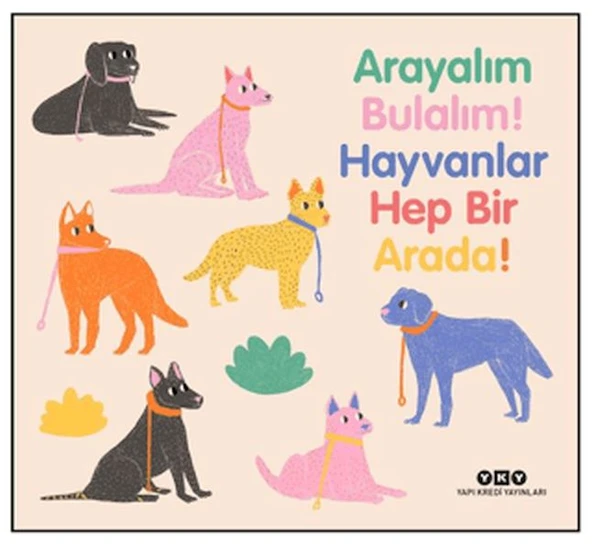 Arayalım Bulalım! Hayvanlar Hep Bir Arada! ürün görseli 1