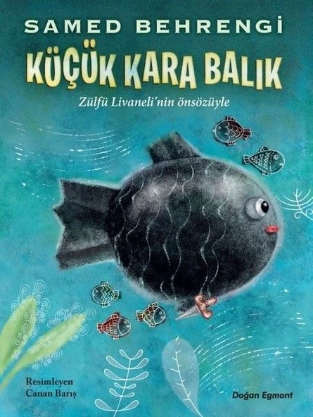 Küçük Kara Balık ürün görseli 1