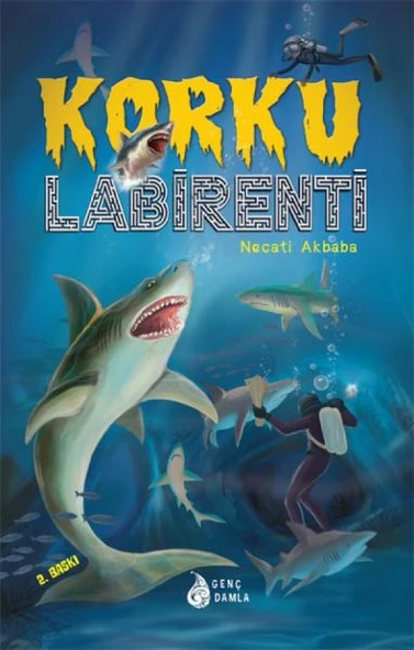 Korku Labirenti ürün görseli 1