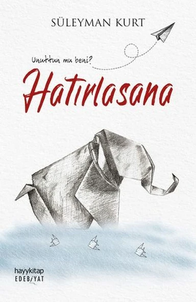 Hatırlasana - Unuttun mu Beni ? ürün görseli 1