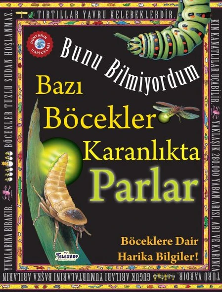 Bazı Böcekler Karanlıkta Parlar - Bunu Bilmiyordum - Böceklere Dair Harika Bilgiler! ürün görseli 1