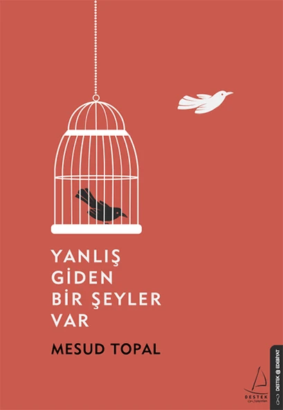 Yanlış Giden Bir Şeyler Var ürün görseli 1