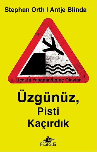 Üzgünüz, Pisti Kaçırdık ürün görseli 1