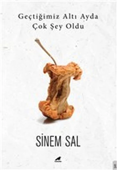 Geçtiğimiz Altı Ayda Çok Şey Oldu ürün görseli 1