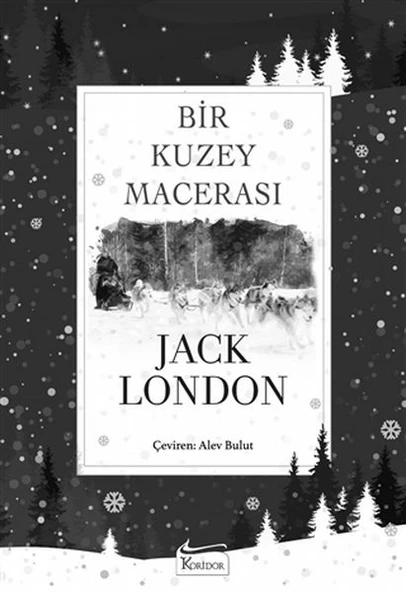 Bir Kuzey Macerası (Bez Ciltli) ürün görseli 1